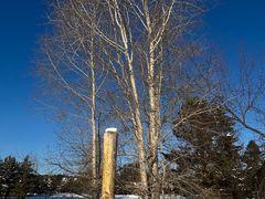 -北极村旅游风景区