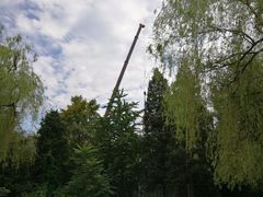 -许仙楼餐厅