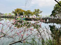 -无锡蠡湖国家湿地公园-蠡园
