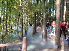 -东湖落雁景区