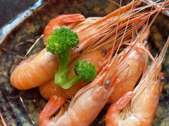 -黑松白鹿(金融街店)