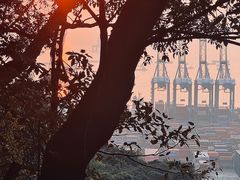 -小南山公园