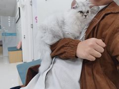 -美联众合动物医院·24h转诊中心