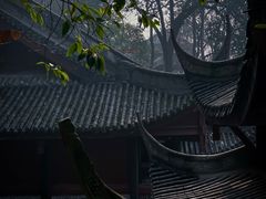 -南山植物园