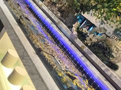 -川骄海鲜自助(河东店)