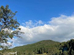 -武陵山森林公园