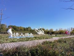 -东郊湿地公园