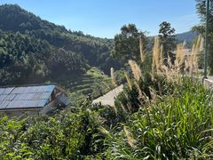 -长沙黑麋峰国家森林公园