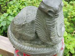 -四明山国家森林公园