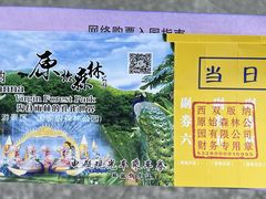 -西双版纳原始森林公园