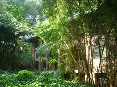 -中山大学学者灵芝(园南路店)