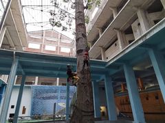 -广州市紫泥堂文化创意园景区