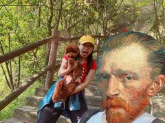 -铁山坪森林公园