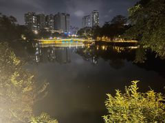 -荔湾湖公园