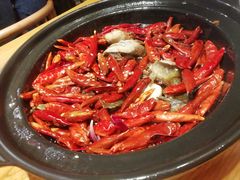 香辣武当岩鱼-丹江渔村(望京店)