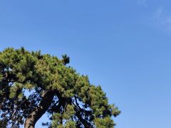 -终南山南五台景区