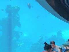 -海棠湾洲际-涛·海底餐厅·美人鱼·自助餐·海底隧道