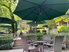 -十八棵（老龙井）御茶园(老龙井店)