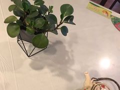 -包子大王(新泽巷店)