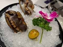 -海月轩海鲜豆捞(紫金塔店)