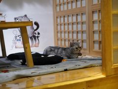 -小时光咖啡馆(开森度假森林店)
