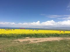 -青海湖国家重点风景名胜区