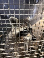 -酷嗒动物文化乐园(cutezoo西溪乐天城店)