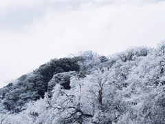 -梵净山旅游区