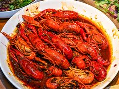 -京B·东篱精酿啤酒音乐餐厅