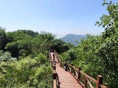 -大岭沟猕猴桃谷风景区