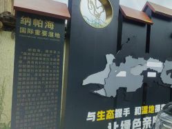 -纳帕海依拉草原