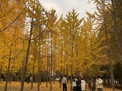 -河南财经政法大学(郑东校区)