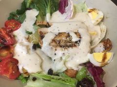 -机器人火炉披萨