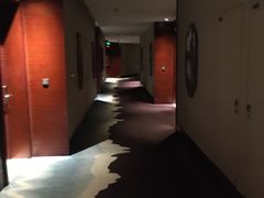 -苏州金鸡湖大酒店