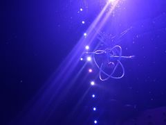 -珠海横琴长隆《卡卡虎奇遇记》