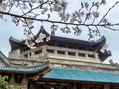 -武汉大学-樱园