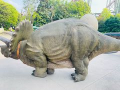 -中华恐龙园