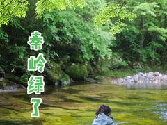 -秦岭风景区