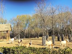 -济南野生动物世界