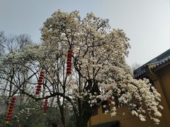 -杭州上天竺法喜讲寺