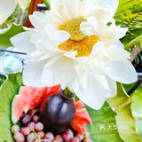 普者黑美食之——荷花宴