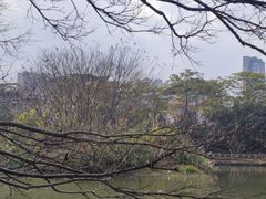 -金山公园