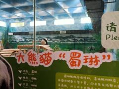 -柳州市动物园