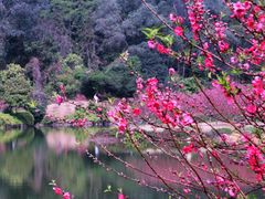 -南国桃园旅游度假区