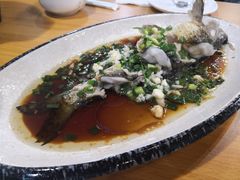 -全乐鱼馆·淳牌有机鱼直营店