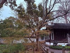 -上海醉白池公园