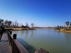 进门的湖景-九科绿洲