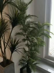 -菓糖儿童摄影(大卫城店)
