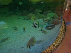 -尚泰清迈机场购物中心