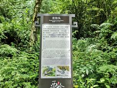 -西岭雪山大飞水景区